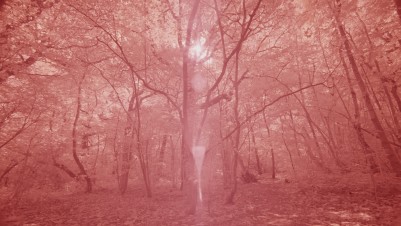 Film Screenshot