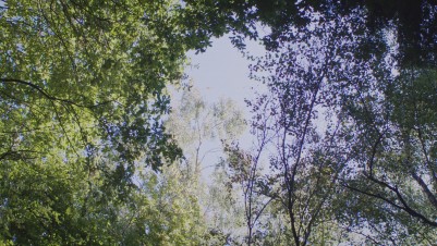 Film Screenshot