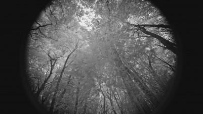 Film Screenshot
