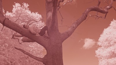 Film Screenshot